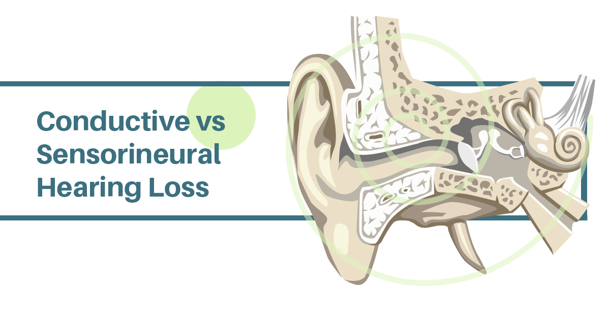 diagram of the inner ear